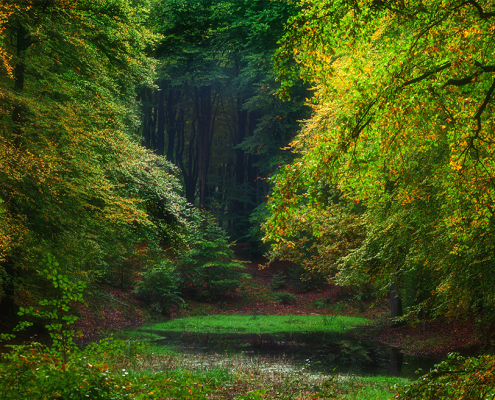 Solsche Gat Speulderbos