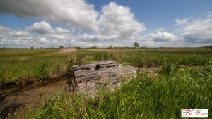 Hoogeweg Kalenberg