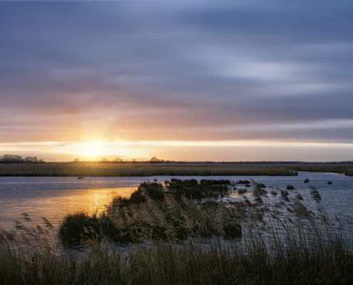 Zonsondergang De Onlanden