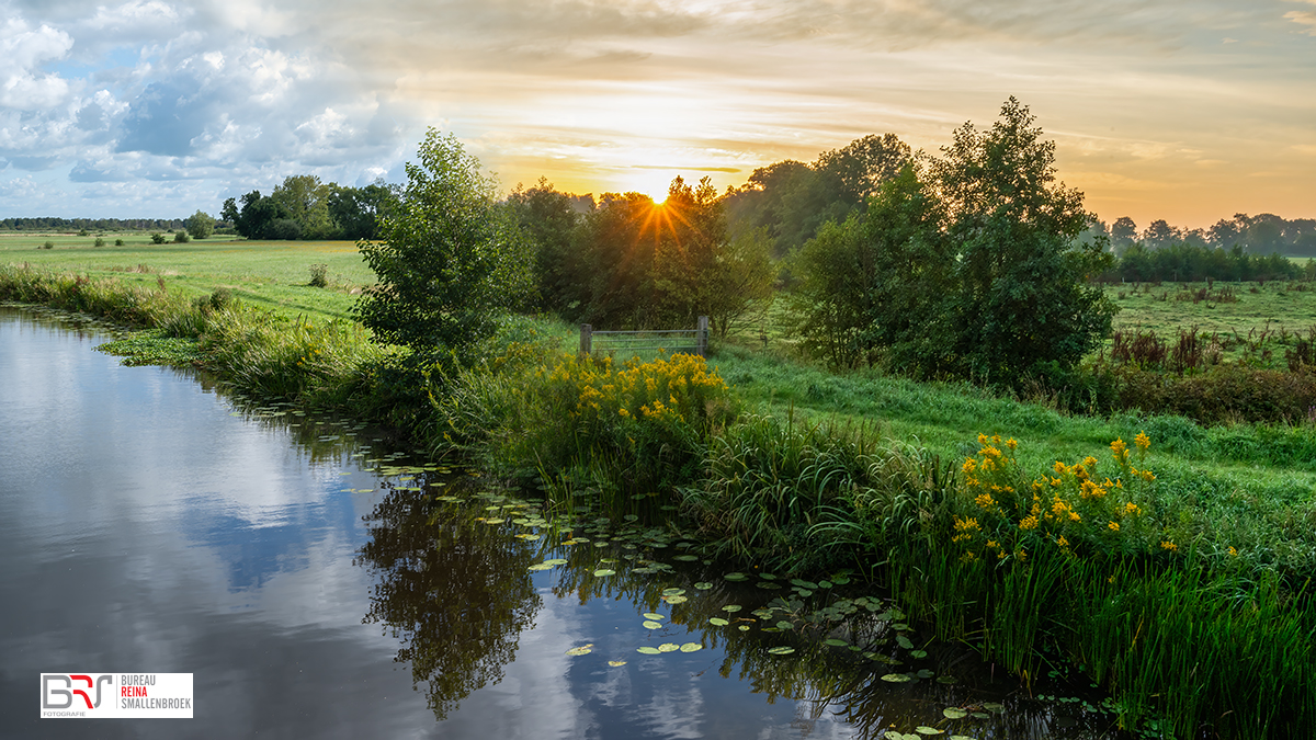 Bomen, water, hek in De Onlanden dag versus zonsopkomst