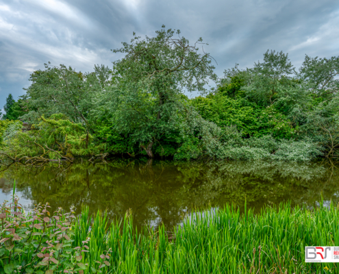 De Tuin van de Borg Ewsum Middelstum