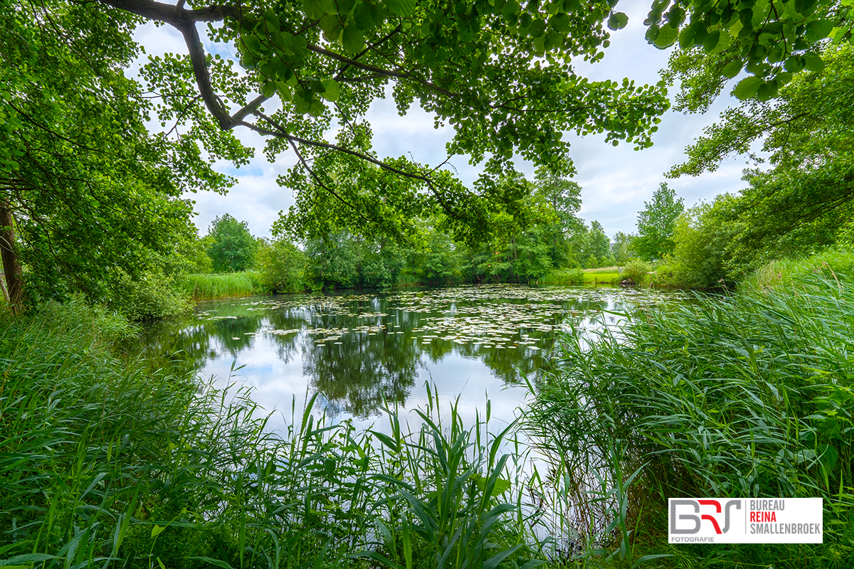 Swaalkesveld Oostindie Leek - Vlinder