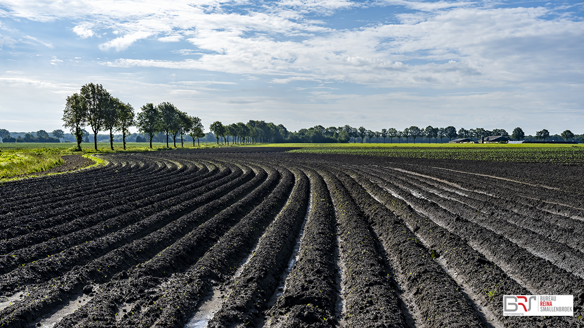 Boerenland Grolloo