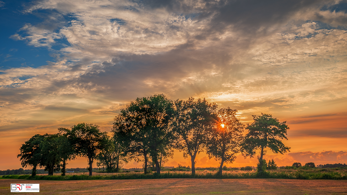 Zonsondergang door bomenrij De Onlanden