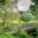 Hek met treurwilg Buren Gelderland