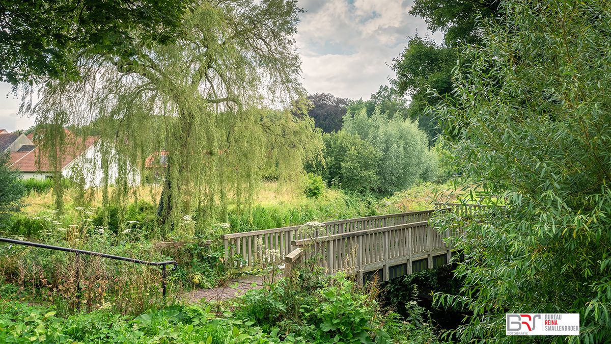 Hek met treurwilg Buren Gelderland