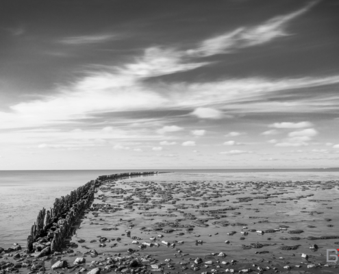 Het Wad bij Wierum