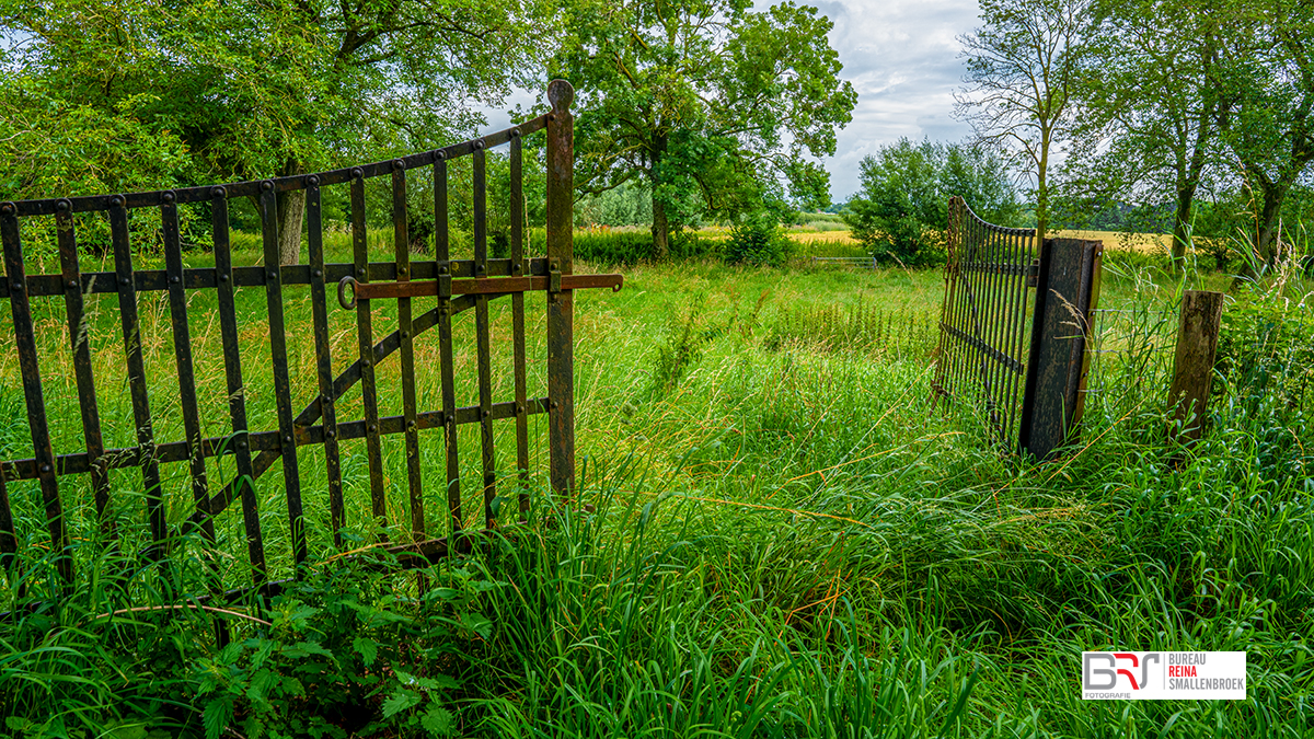 Oud roestig hek in een weiland