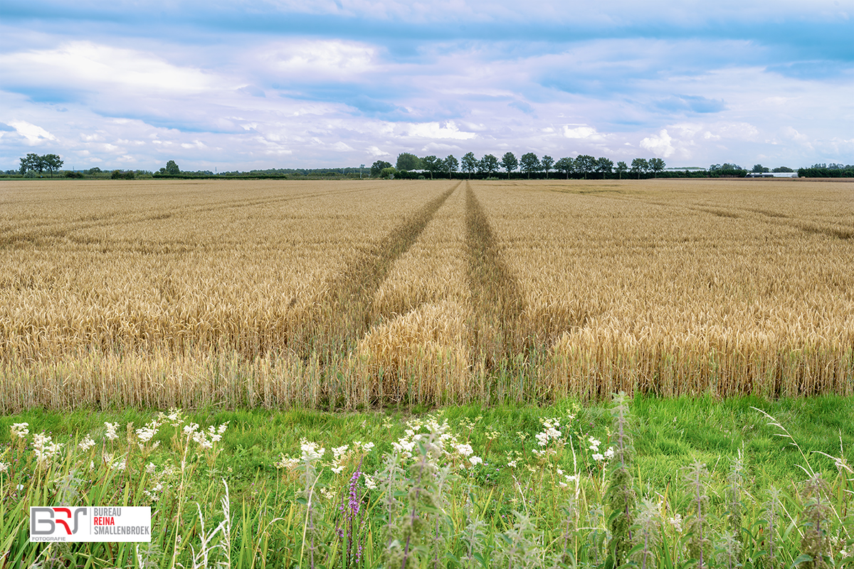 Lagen in het landschap