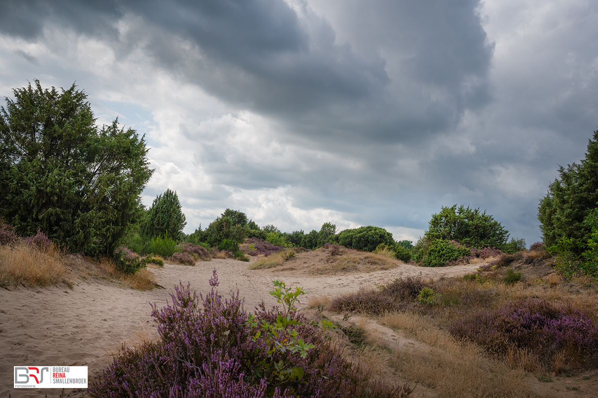 Heide Mantingerzand