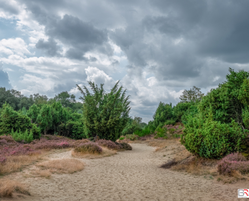 Mantingerzand Heide met imposante lucht