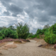 Mantingerzand Heide met imposante lucht