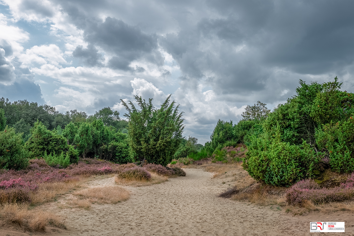 Mantingerzand Heide met imposante lucht