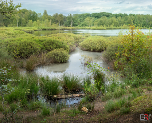 Siepelveen tussen Zeegs en Schipborg