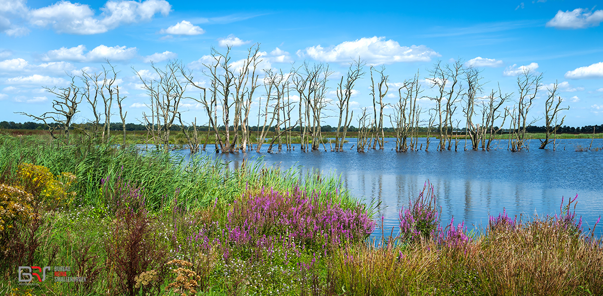 Tusschenwater De Groeve