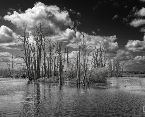 Tusschenwater Drents Landschap in zwart-wit