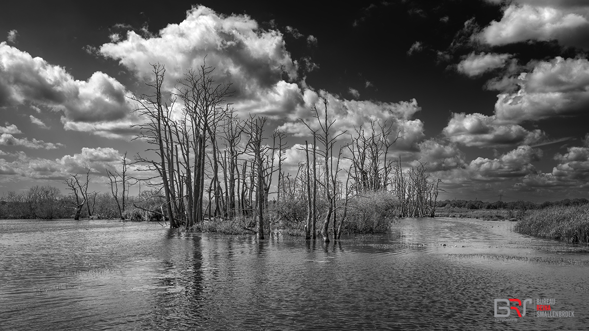 Tusschenwater Drents Landschap in zwart-wit