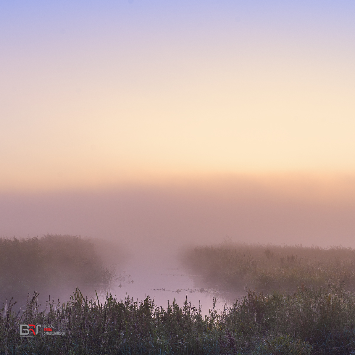 Een kleine wereld Onlanden in de mist in pastels