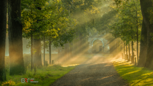 Zonneharpen poort Nienoord