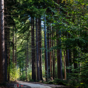 fietspad Slotplaats Bakkeveen