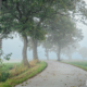 Fietspad Onlanden nabij Nietap in de mist