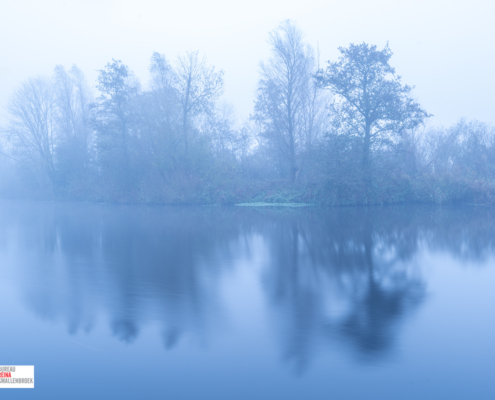 Leekster Hoofddiep in de mist