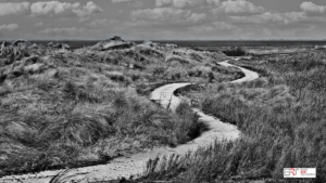 Marker Wadden het pad