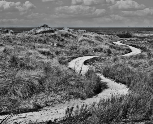 Marker Wadden het pad