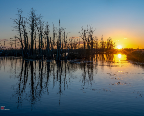 Tusschenwater De Groeve tijdens zonsondergang