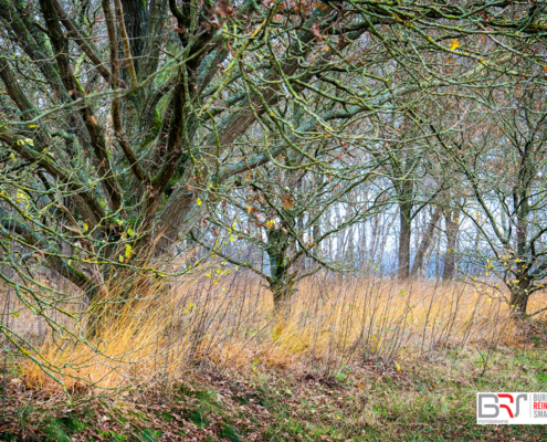 Balloerveld in de herfst