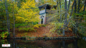 Chinese toren park Oranjewoud