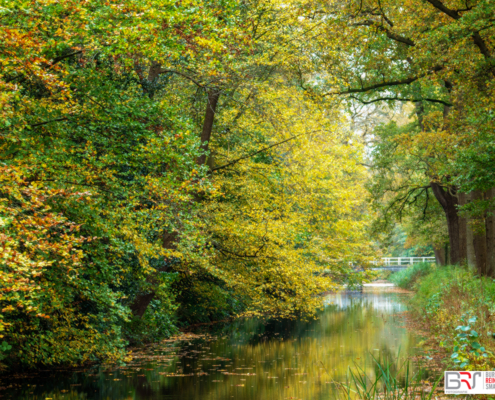 Herfst park Oranjewoud met bruggetje