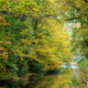 Herfst park Oranjewoud met bruggetje