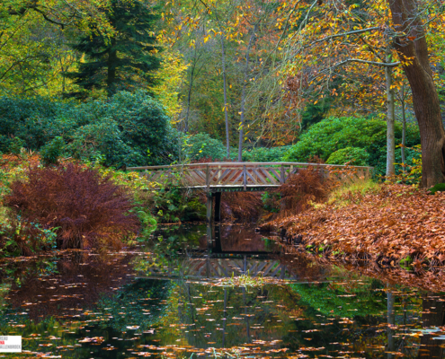 Park Oranjewoud met houten bruggetje