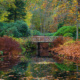 Park Oranjewoud met houten bruggetje