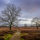 Gasterse Duinen