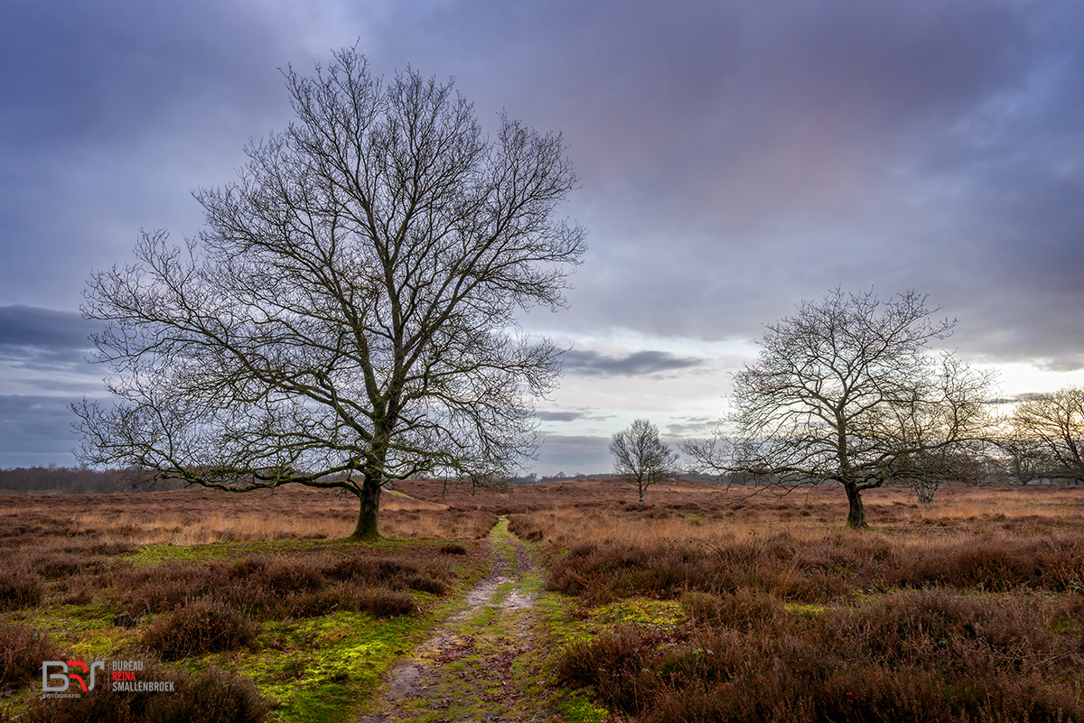 Gasterse Duinen