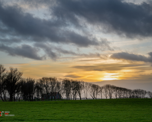 Het Friese Landschap nabij Anjum