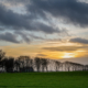 Het Friese Landschap nabij Anjum