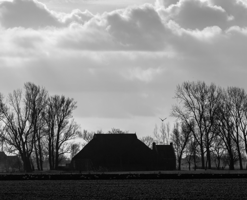 Boerderij nabij Anjum