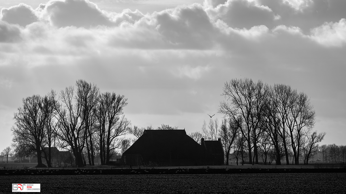 Boerderij nabij Anjum