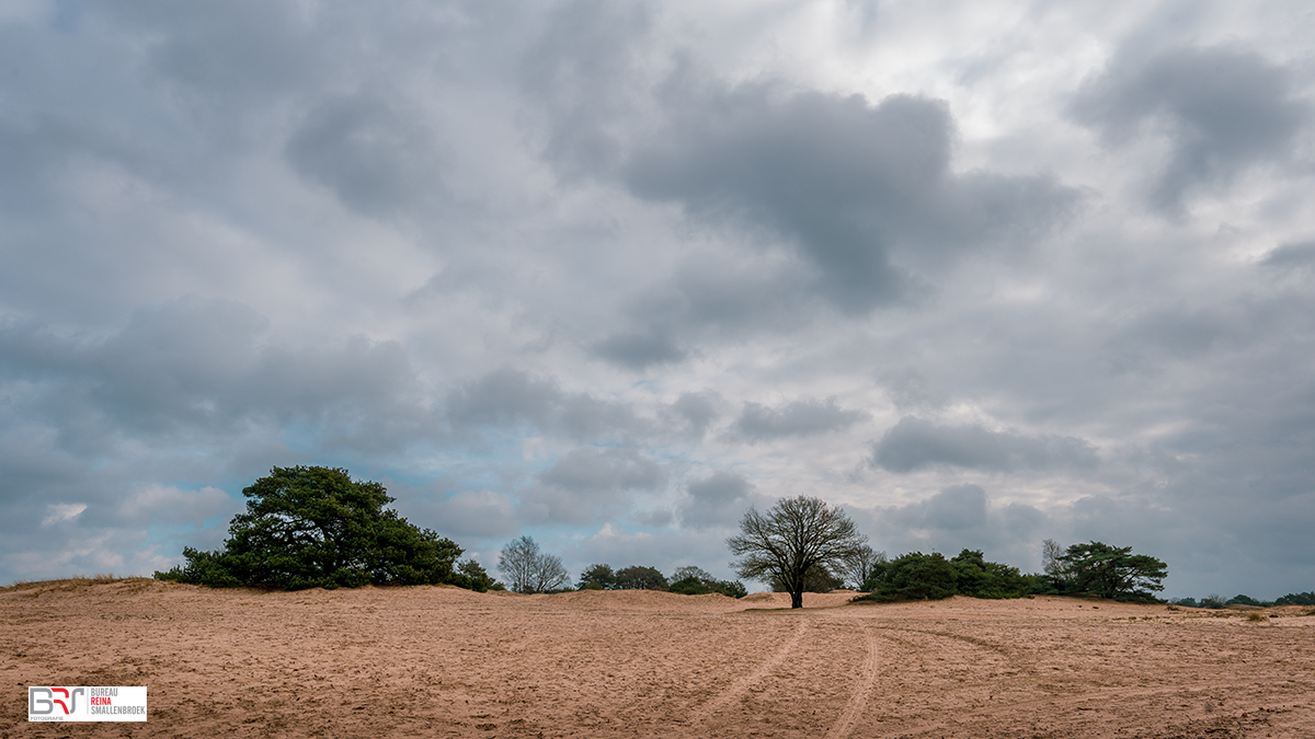 Aekingerzand De Kale Duinen