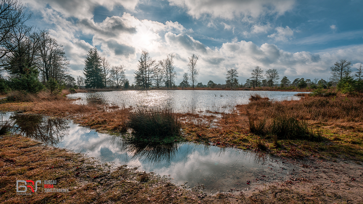 Aekingerzand _ Kale Duinen