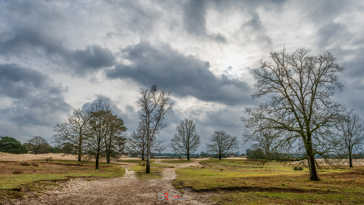 Kale Duinen _ Aekingerzand